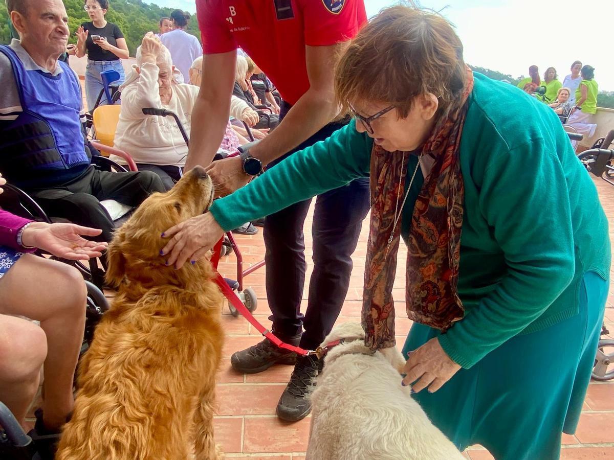 La unidad canina de los Bomberos de Palma visitan la residencia Bonanova