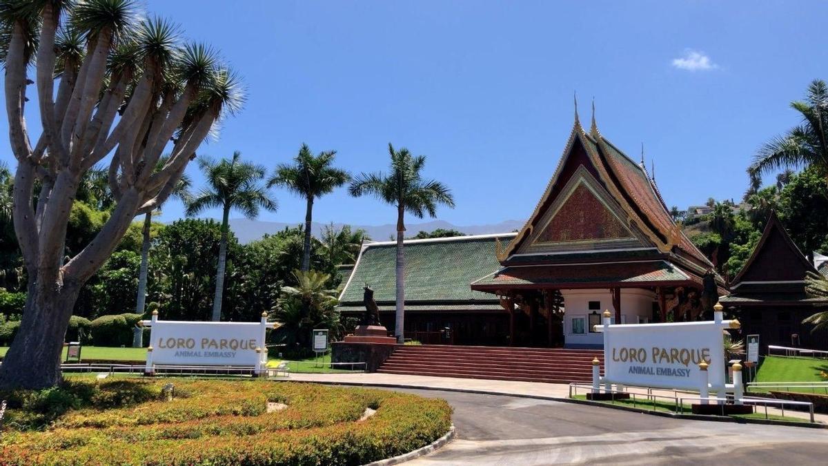 El acceso principal de Loro Parque.