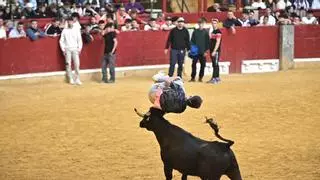 Las vaquillas del Pilar no pierden su tirón: "Sin las peñas esto perdería la gracia"