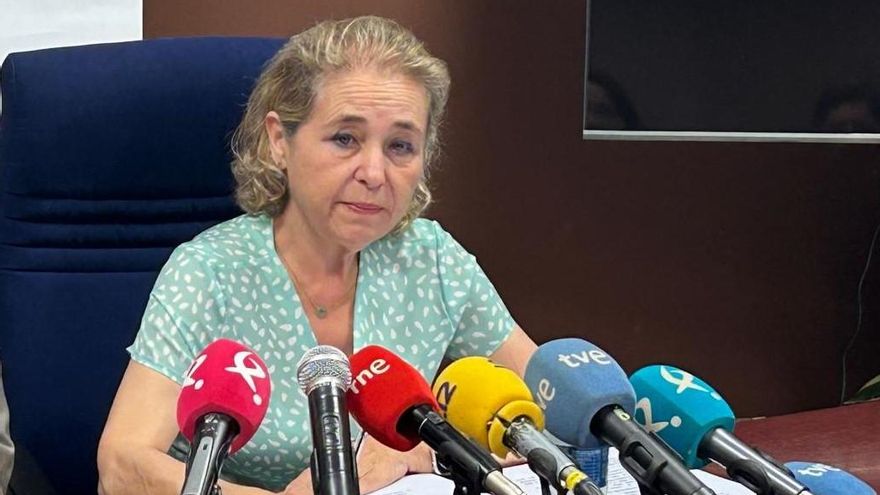 La consejera de Educación, Mercedes Vaquera, esta mañana.