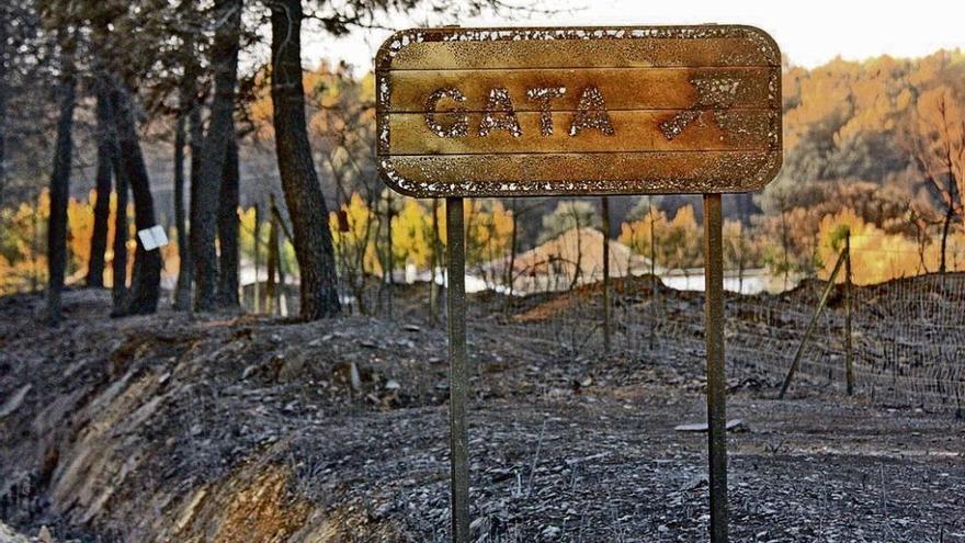 Un indicador, calcinado en medio de una de las zonas afectadas por el incendio.