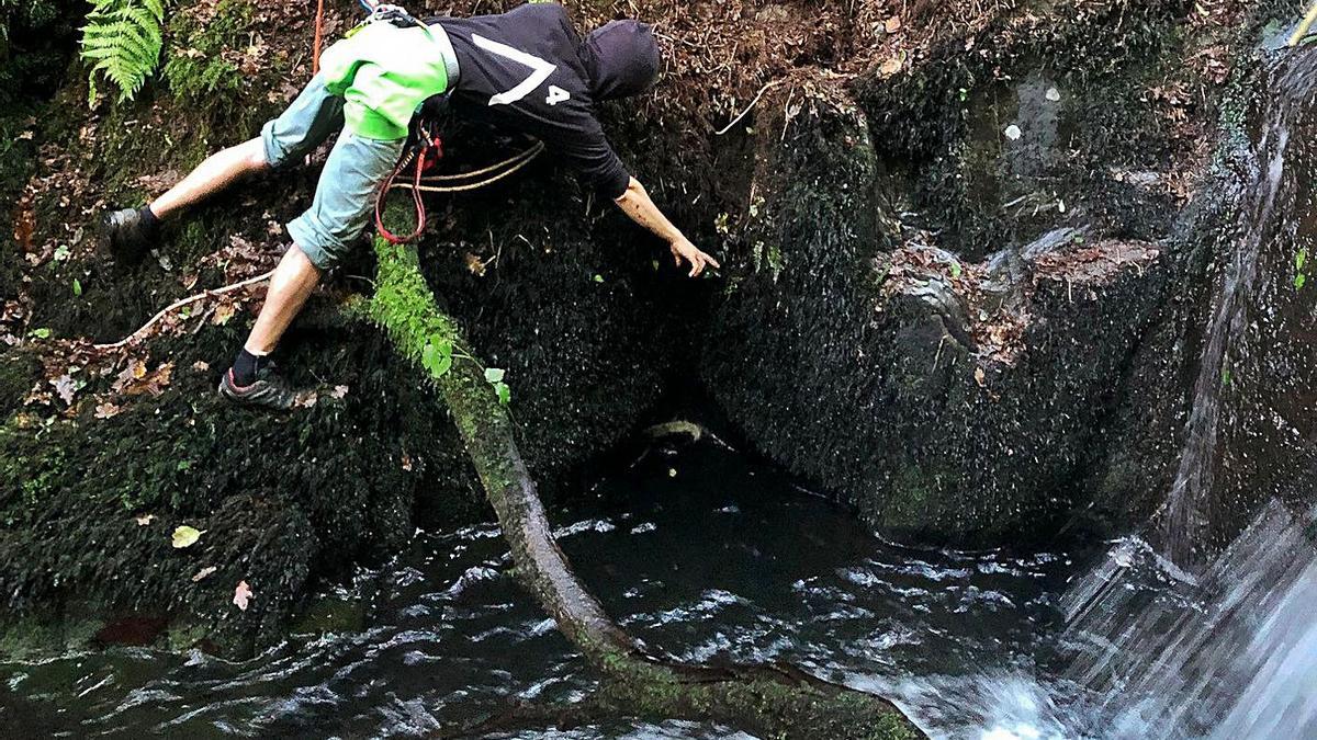 Un miembro de Fragas do Mandeo retira ejemplares de tradescantia de orillas del rego de As Bouzas.   | // L. O.