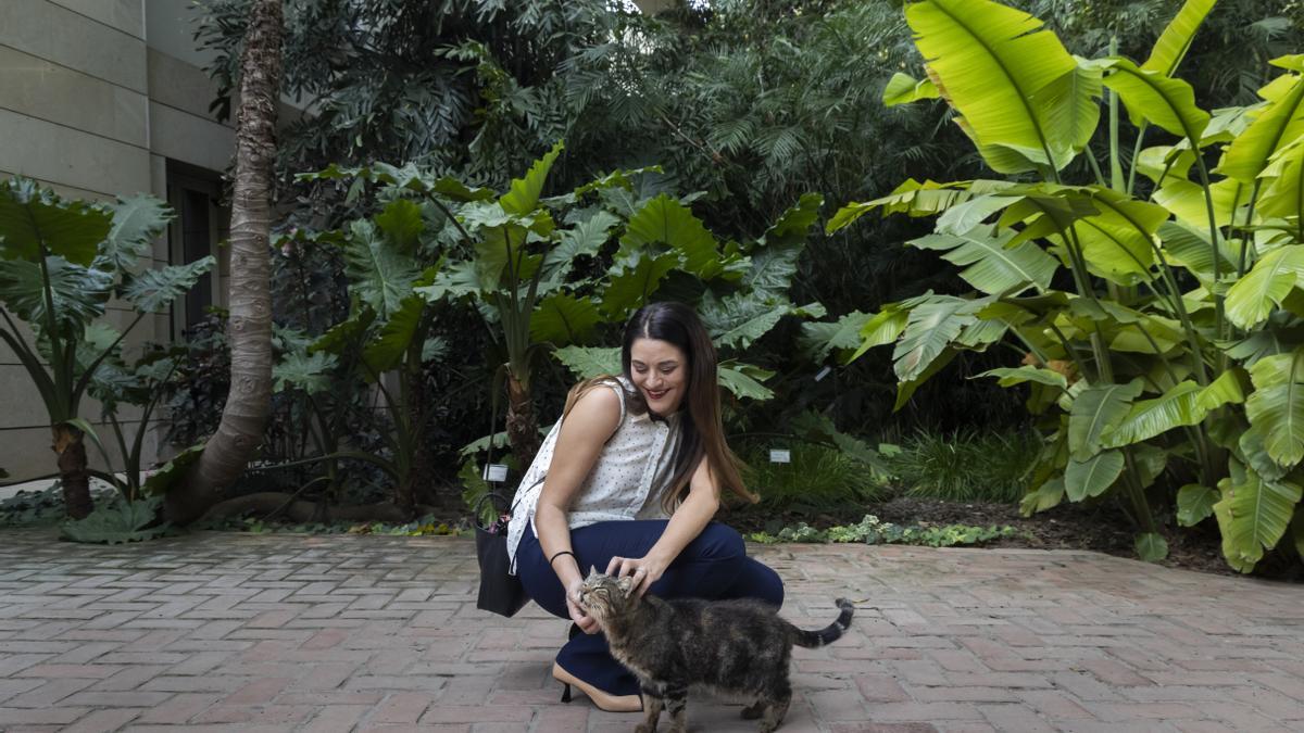 Mireia Mollà acaricia un gato en el Jardí Botànic de València antes de la entrevista