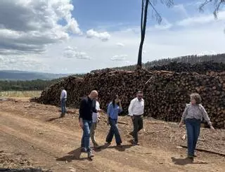 La venta de madera quemada movió hasta 41 millones tras los incendios de 2025