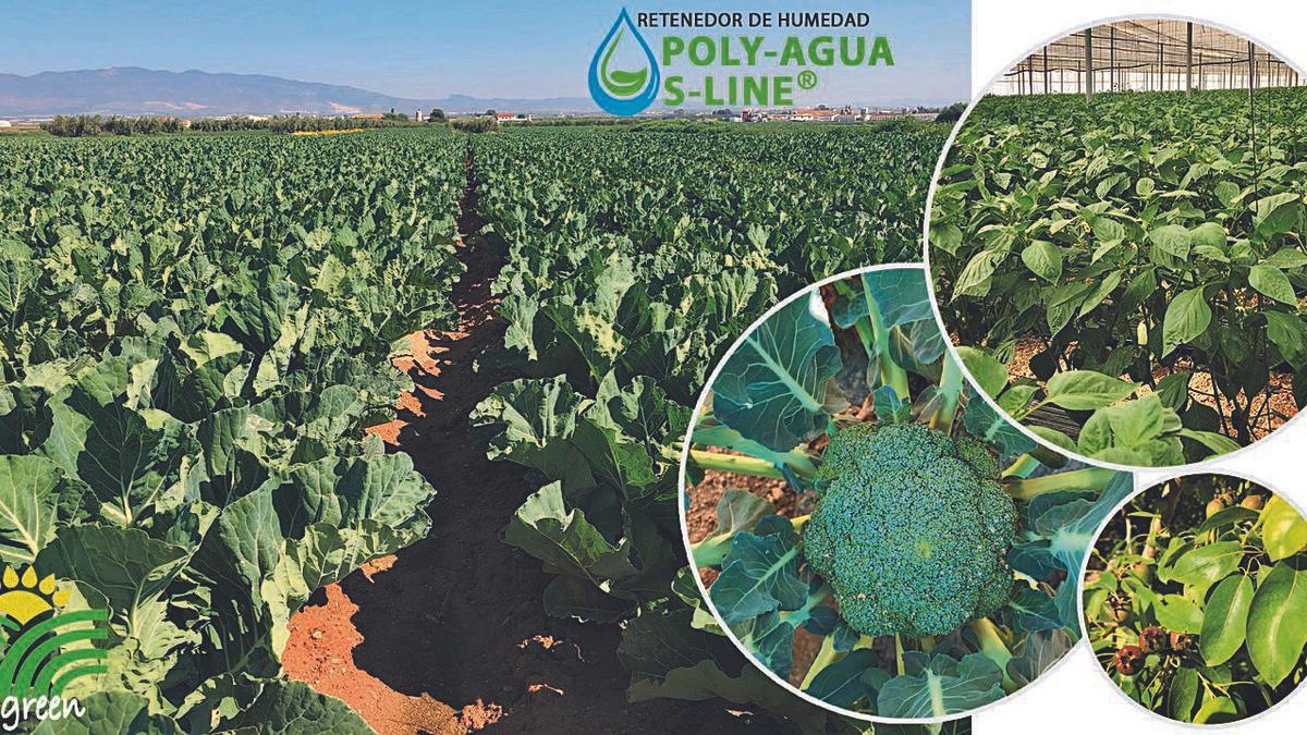 Biogreen Road, optimización y sostenibilidad en uso de agua