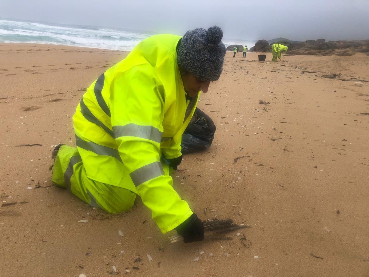 Una operaria de Tragsa retirando microbolas con unas plumas en la playa ribeirense de O Vilar
