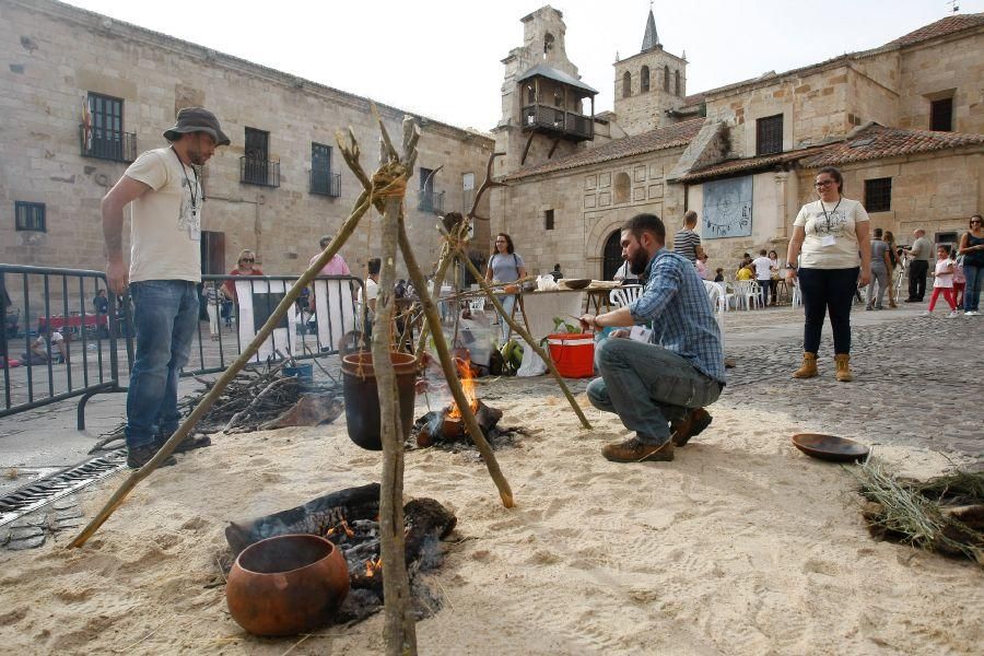 Talleres en el Museo de Zamora