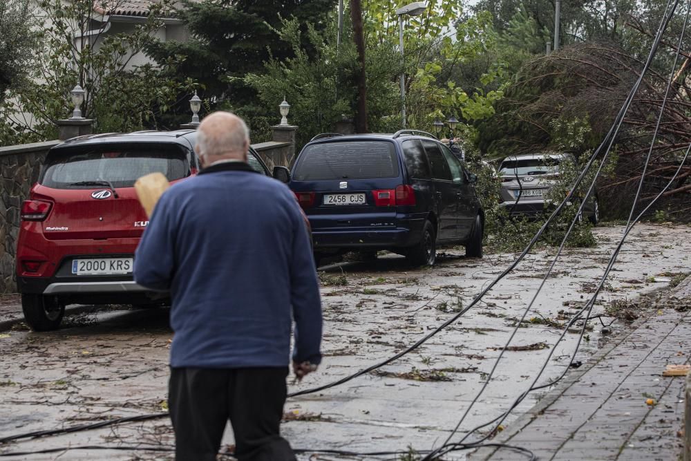 Destrosses a Riells i Viabrea per un tornado