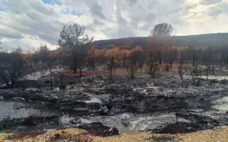 La lluvia comienza a arrastrar a los ríos la ceniza de los incendios