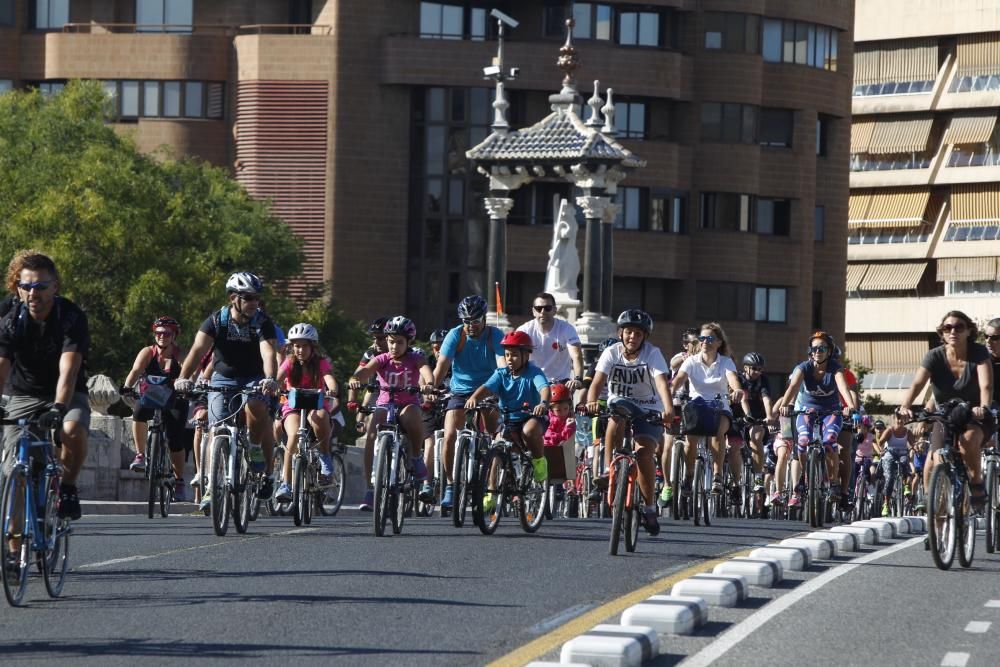 XX Día de la Bicicleta en Valencia