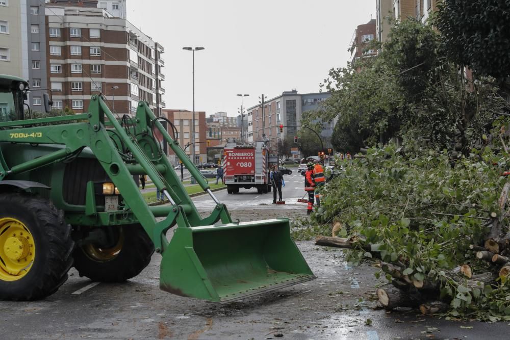 Daños por el temporal en Gijón.