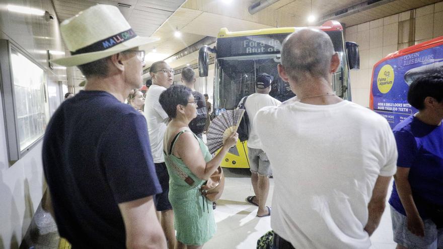 Usuarios y trabajadores de la zona de autobuses TIB de Palma: «Estoy como un pollo asado en la estación de autobuses TIB»