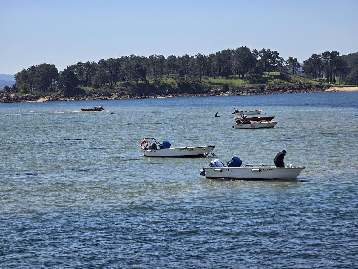 El trabajo de los mariscadores ante la isla de A Toxa.