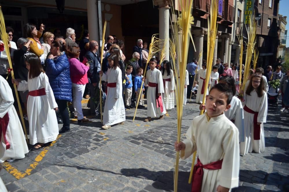 Semana Santa en Benavente: La Borriquita