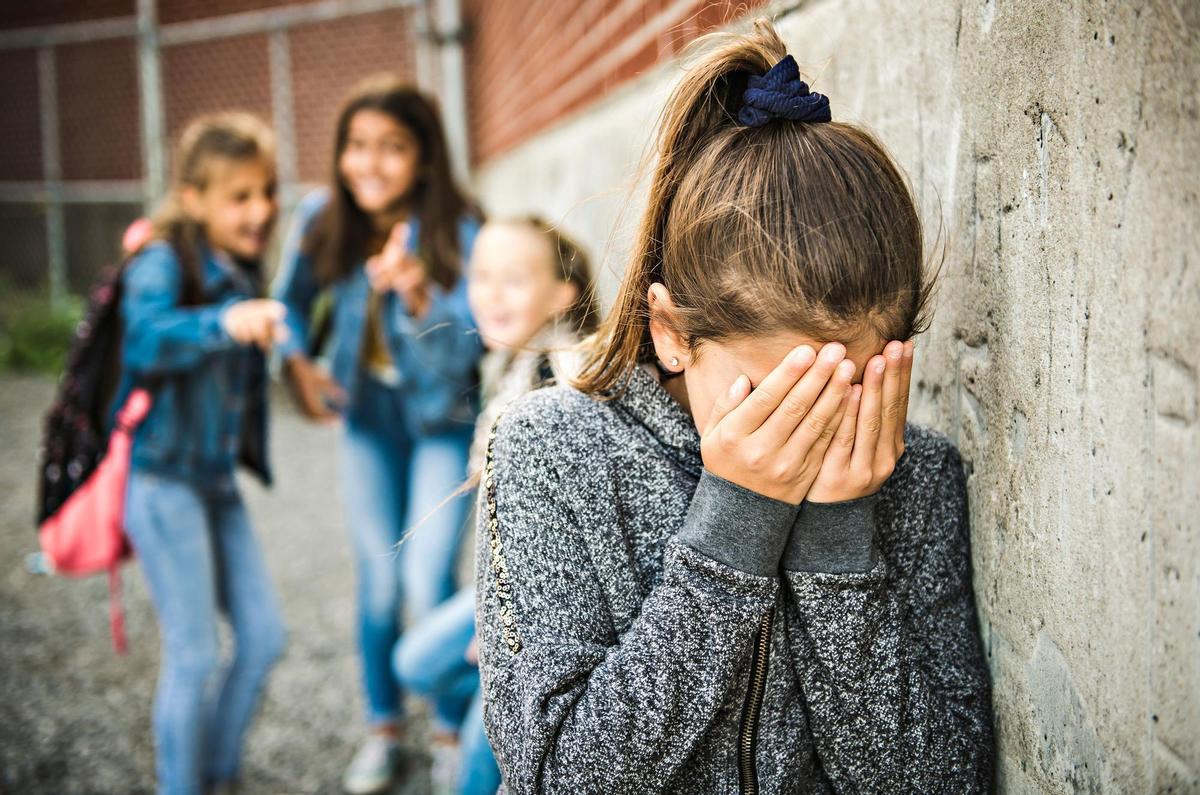 El programa pone a disposición de los profesores materiales didácticos adaptados a cada ciclo y con pautas de desarrollo.