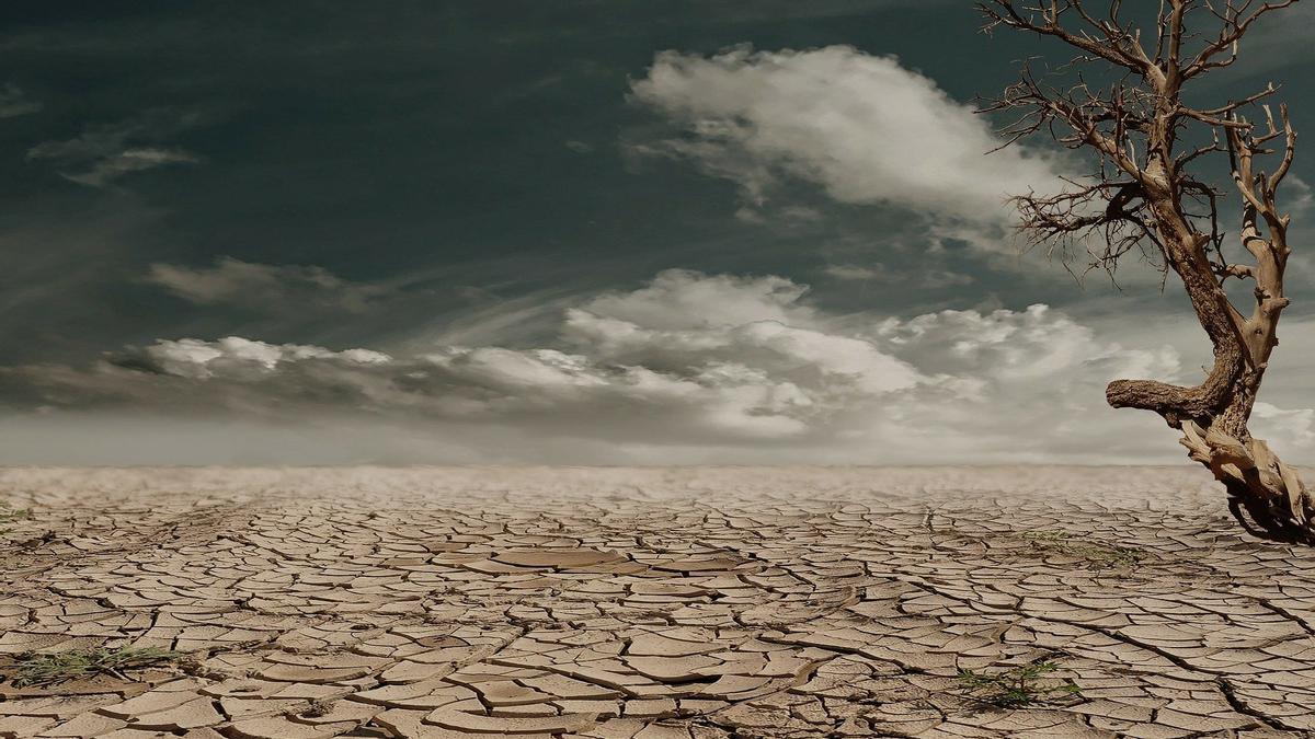 Terreno afectado por la sequía.