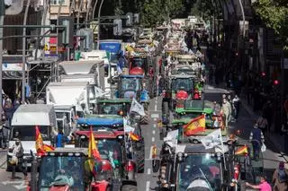 Mensaje de los regantes: "El PSPV lo está haciendo muy mal con el Tajo-Segura"