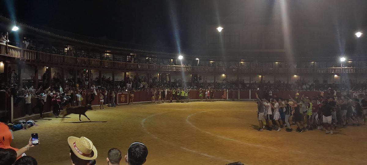GALERÍA | La verbena taurina de las Fiestas de San Agustín de Toro, en imágenes GALERÍA | La verbena taurina de las Fiestas de San Agustín de Toro, en imágenes