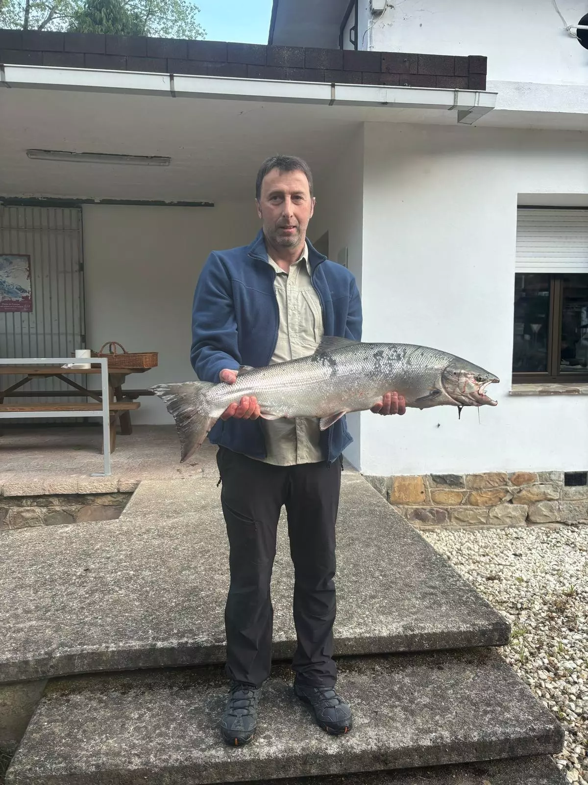 Ya hay campanu en Asturias: pescado en el Narcea y pendiente de subasta en Cornellana