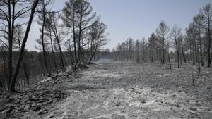 La Generalitat tanca l’accés a tres parcs naturals de l’Alt i el Baix Empordà