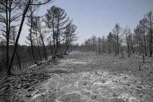 La Generalitat tanca l’accés a tres parcs naturals de l’Alt i el Baix Empordà