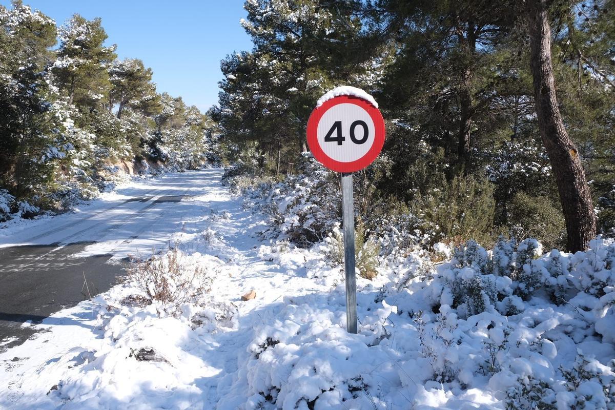 Algunos caminos han quedado cubiertos por la nieve.