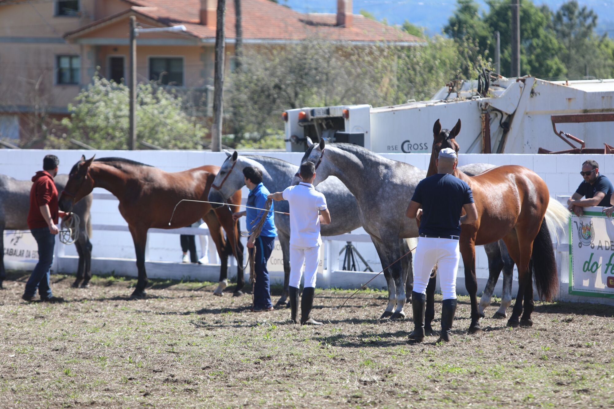 El sábado se celebró el concurso morfológico y el domingo tuvo lugar la prueba puntuable para el Campeonato Gallego de Enganche
