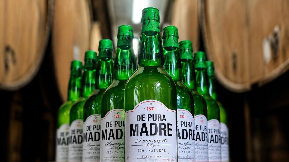 "De pura madre", de JR