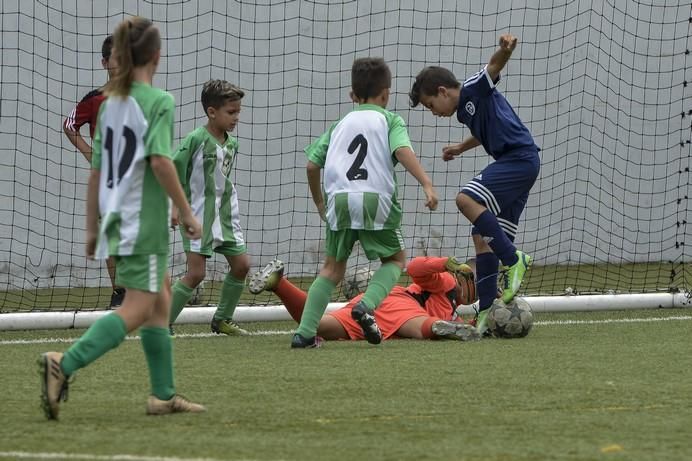 LAS PALMAS DE GRAN CANARIA A 03/06/2017. Copa campeones benjamines. Becerril -- Puerto. FOTO: J.PÉREZ CURBELO