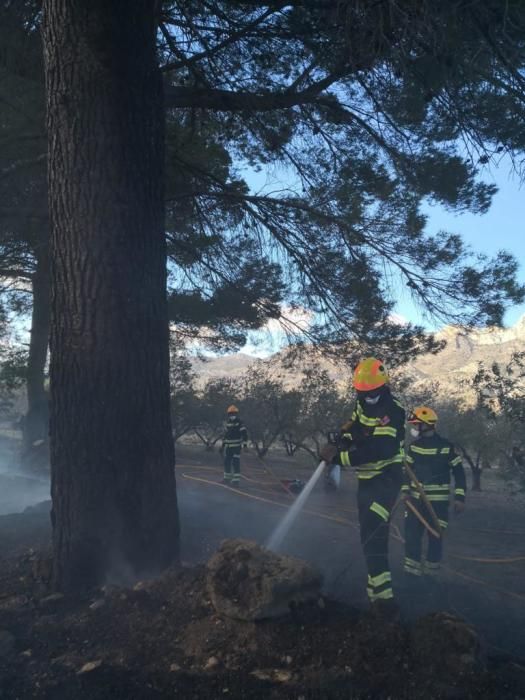 Incendio de matorrales en Beniarrés.