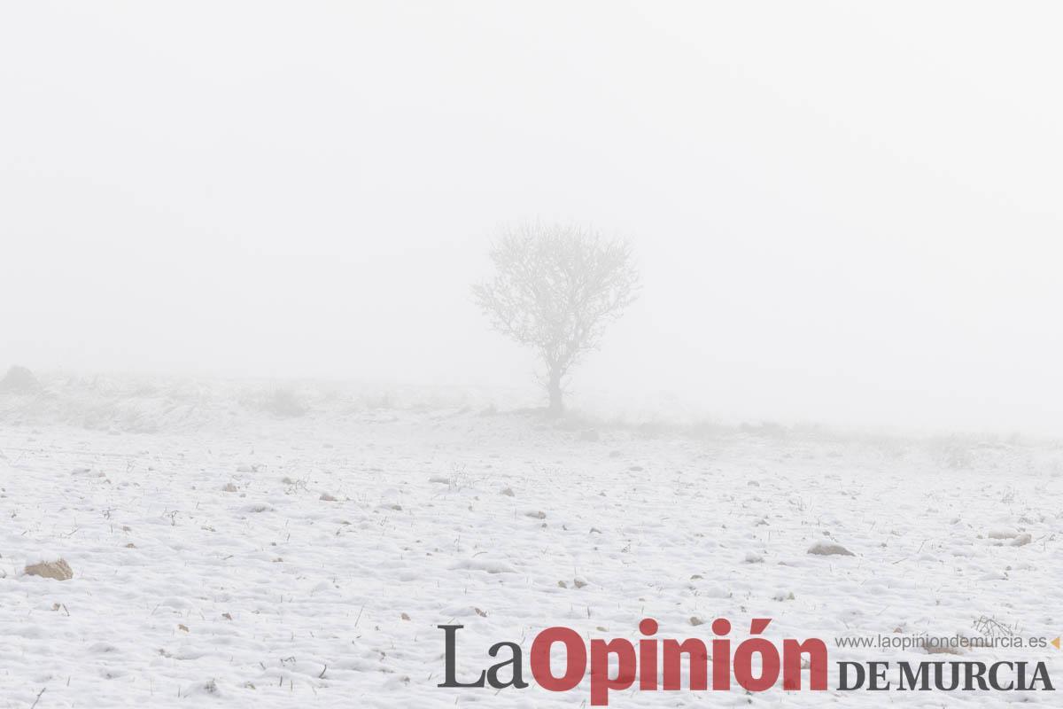 Descubre la última nevada del invierno en las proximidades de Revolcadores en Moratalla