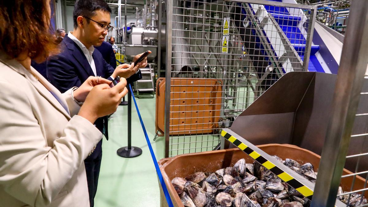 Así se presentó en O Grove la planta de producción de aceite de atún que se enviará a Japón.