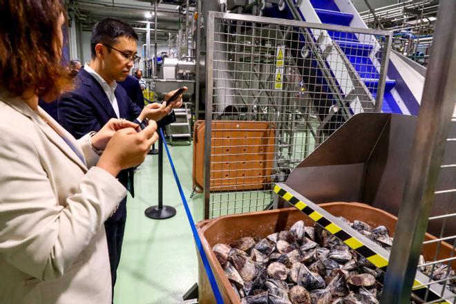 Japón se apunta al aceite gallego de cabeza de atún