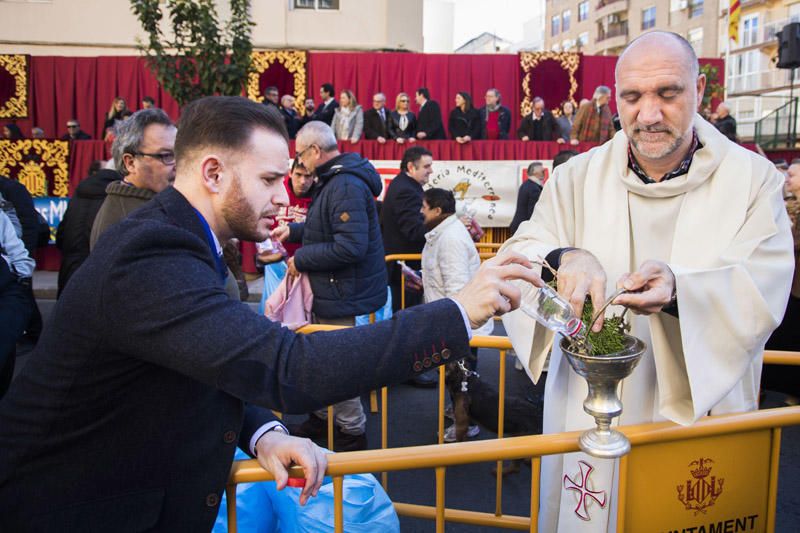 Bendición de animales por Sant Antoni del Porquet