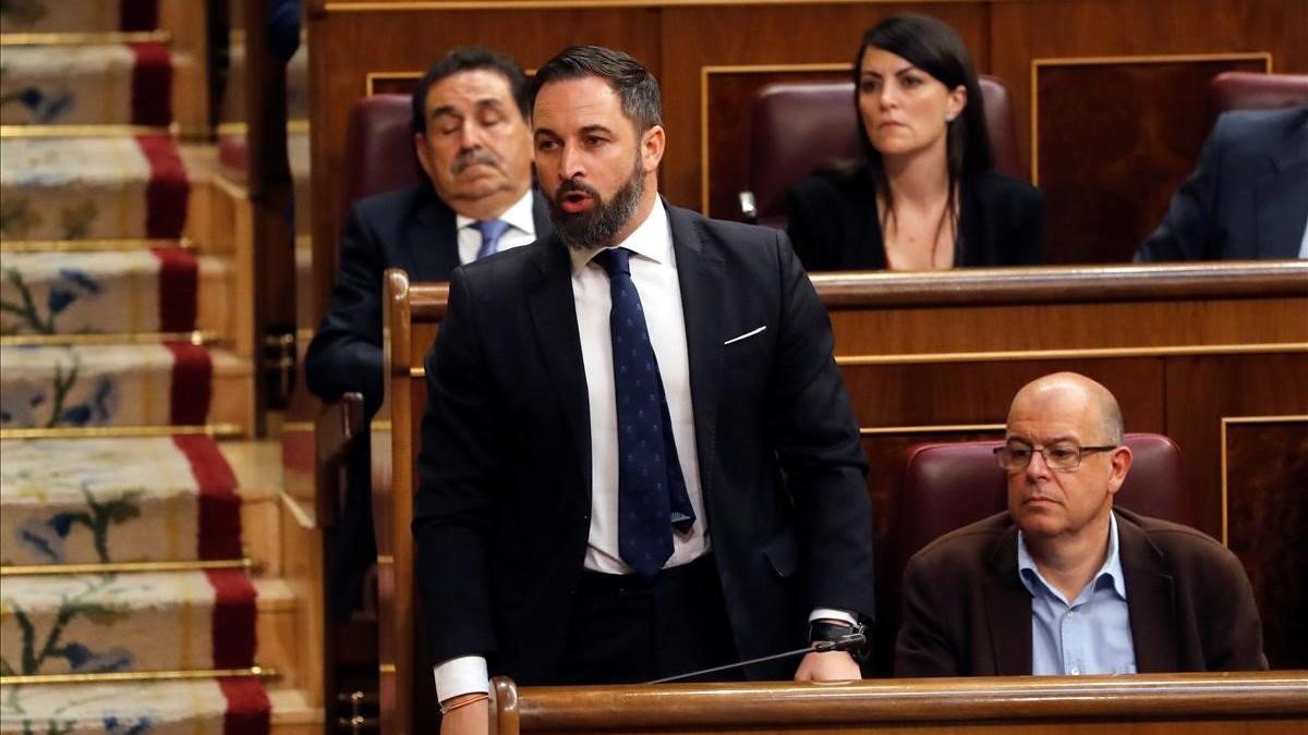 Santiago Abascal en el Congreso