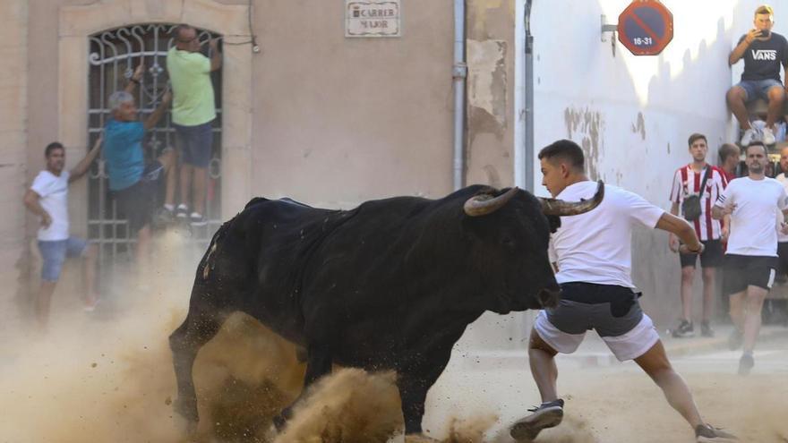 Las claves del nuevo reglamento de 'bous al carrer': barreras más altas y siempre con veterinario