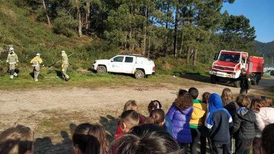 Alumnado asiste a la clase práctica de plantado de árboles. // C.R.