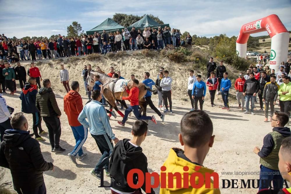 Carrera de entrenamiento de los Caballos del Vino