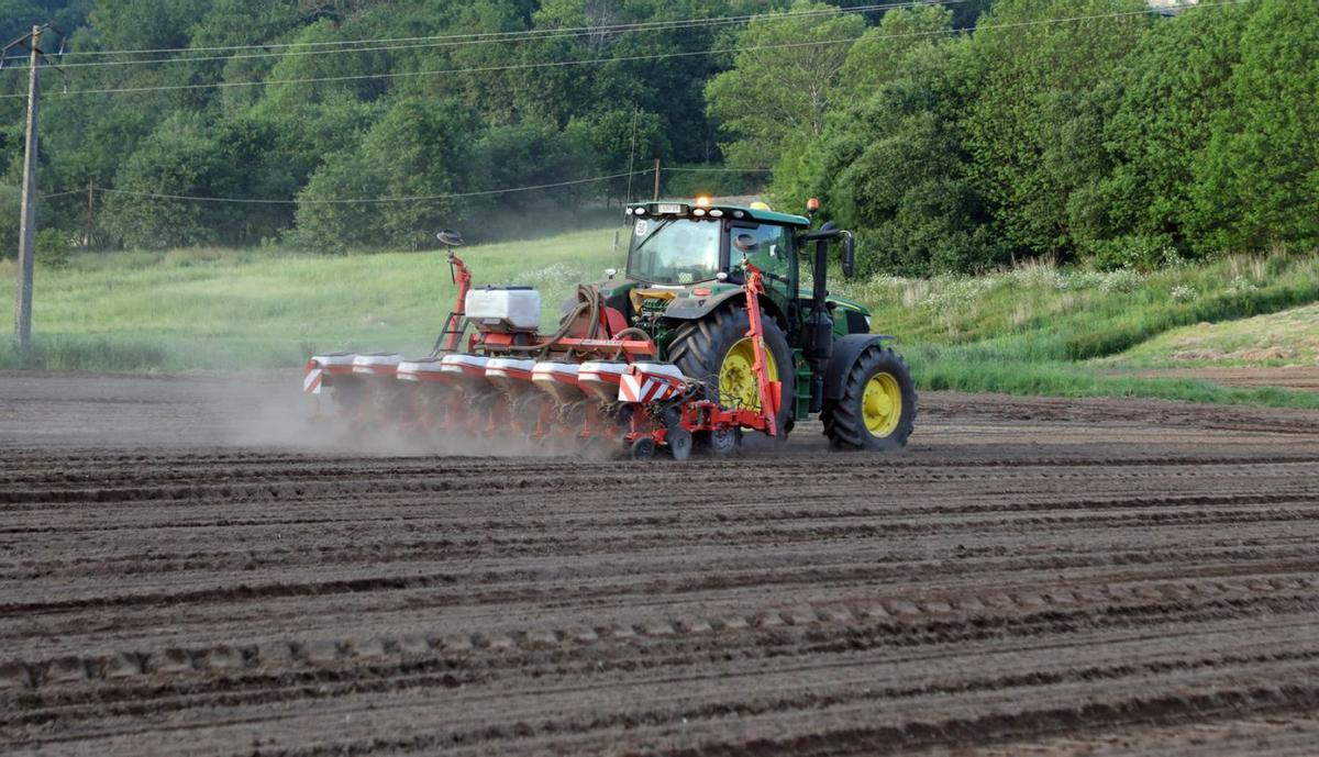 Un tractor en un campo gallego de cultivo de trigo. // XOÁN ÁLVAREZ
