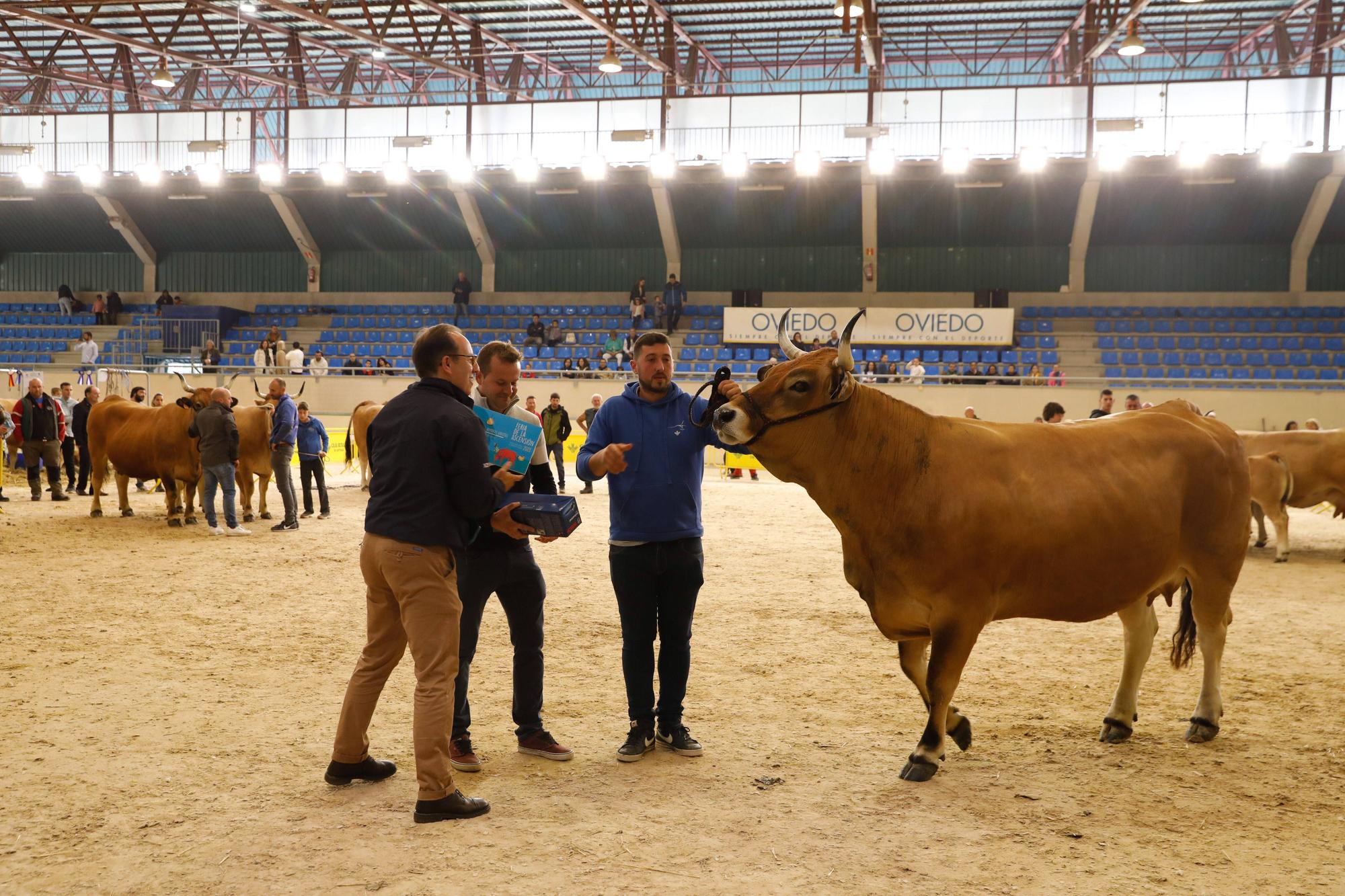 El gran cierre de La Ascensión: así fue la última jornada festiva en la feria del campo en Oviedo