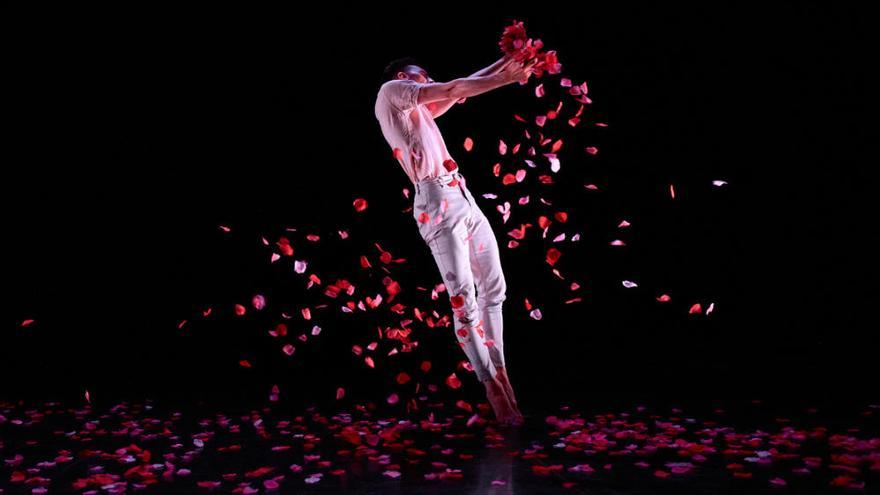 La danza emergente se asienta en la Sala Off con la obra &quot;SER&quot;