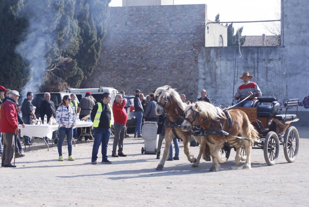 Festa de Sant Antoni Abat a Torroella de Montgrí