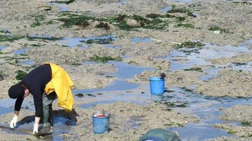 Mariscadoras grovenses durante la faena.  // Muñiz