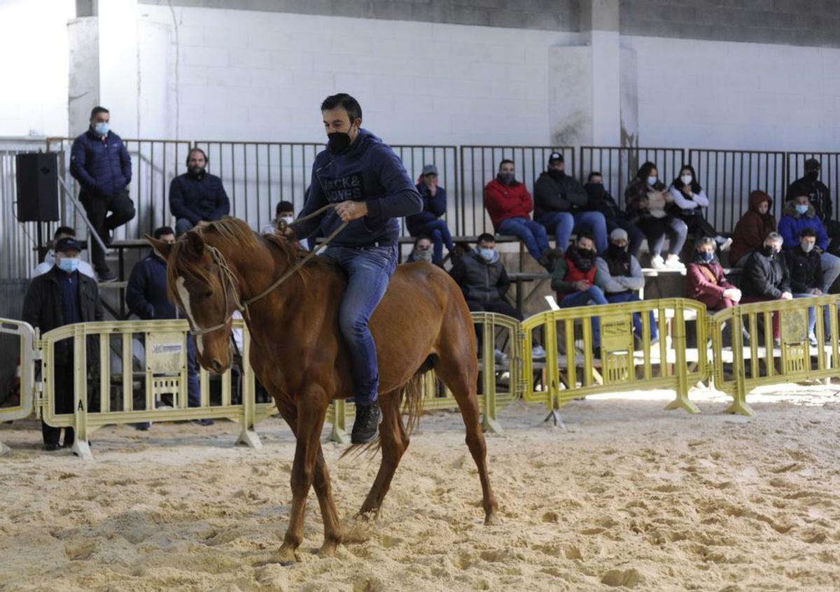 Los mexicanos que convencían a los caballos