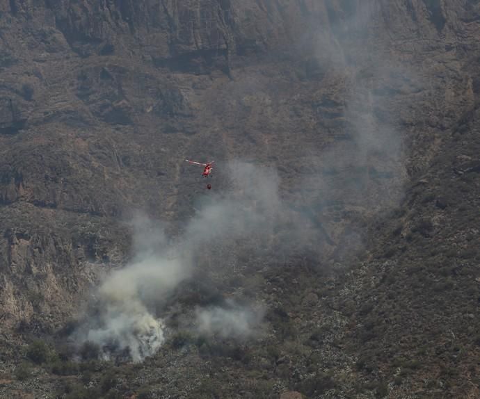 Incendio en Tejeda, Gran Canaria