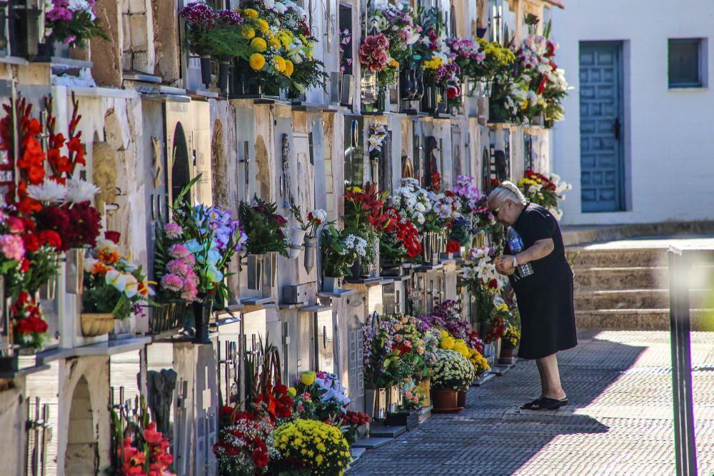 Visita al cementerio de Torrevieja en Todos los Sa