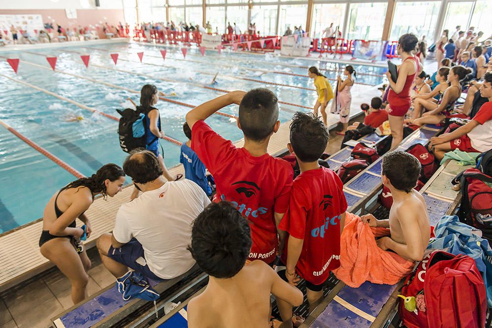 Más de 300 participantes y numeroso público asisten a la trigésimo primera edición del Trofeo Ciutat d'Eivissa de natación.