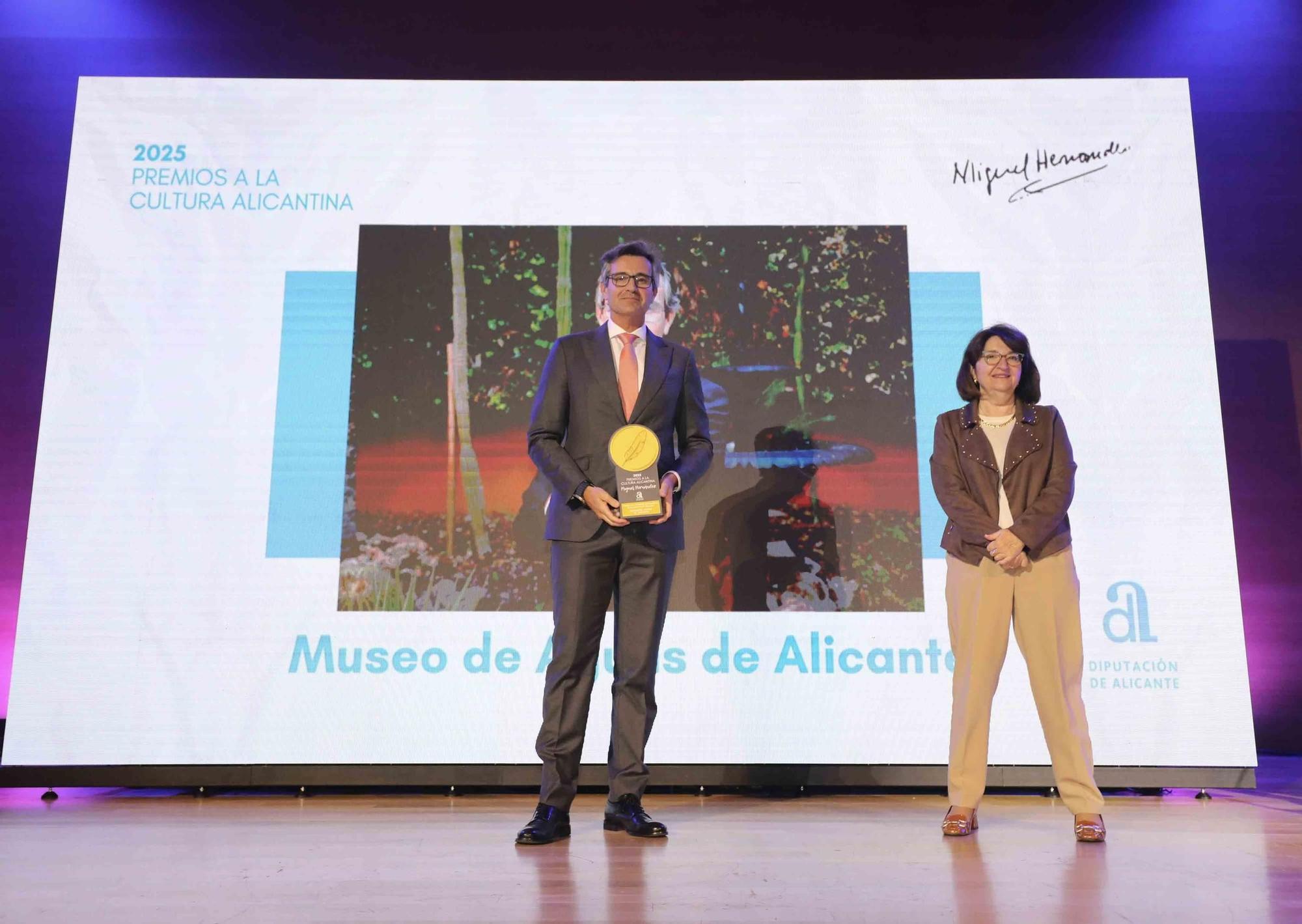 Creatividad y talento galardonados en la entrega de los Premios a la Cultura de la Diputación de Alicante