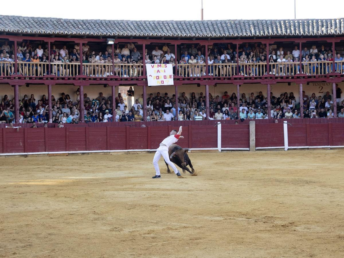 Concurso de cortes, Toro 2026