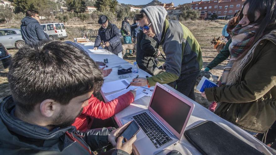 Alcoy reúne a los perros más solidarios